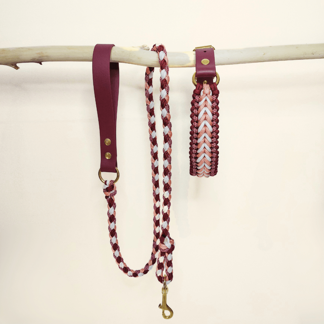 Truffe & Flair – wholesale Halsband - Hund – Flätat hundhalsband i Biothane och paracord - Hallonröd6