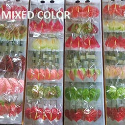 Northwest Orchids - Wholesale Fresh Cut Flowers - Fresh Cut Anthuriums - sold by the tray8