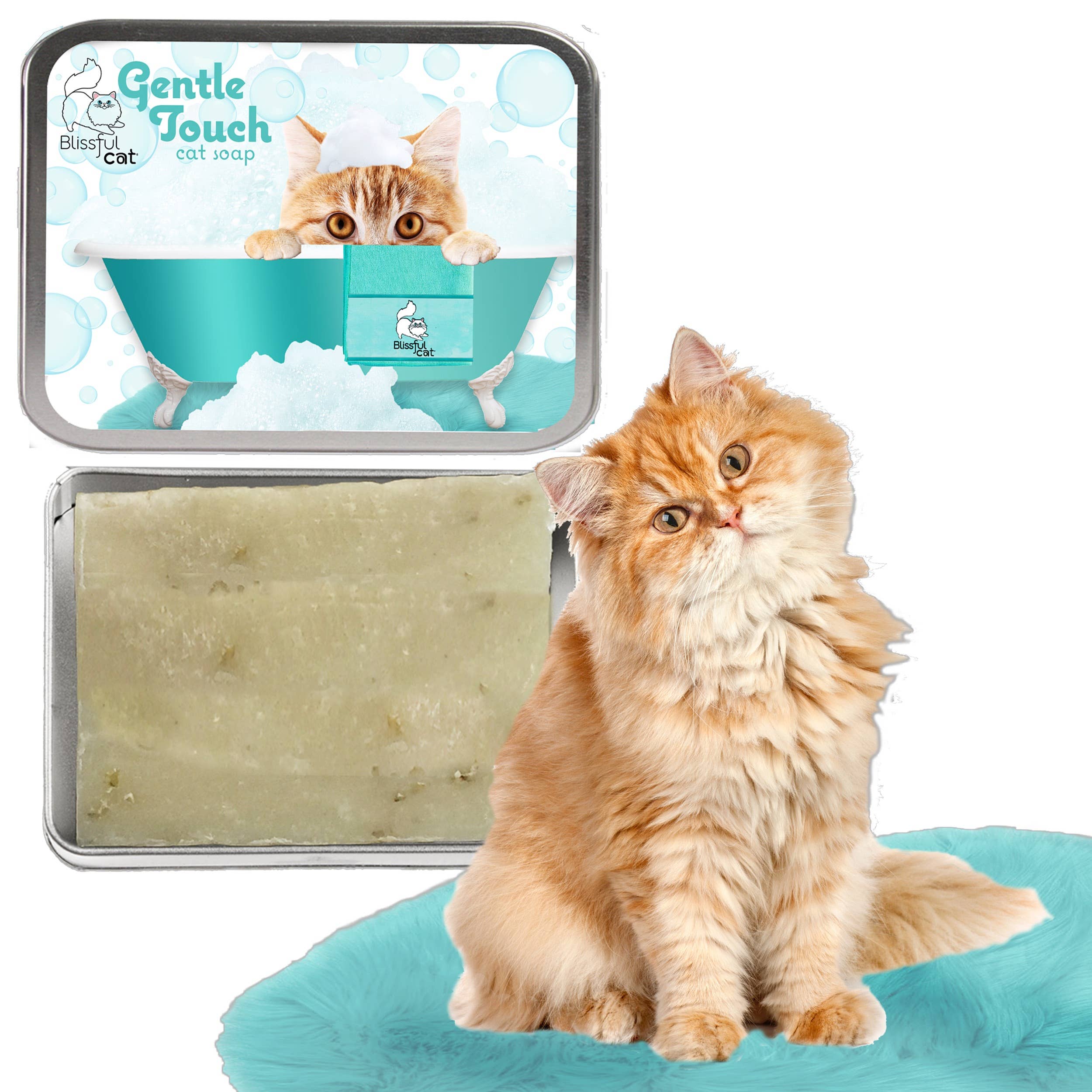 The Blissful Dog – Großhandel Haustier-Conditioner – Katze – The Blissful Cat Gentle Touch Katzenshampoo6