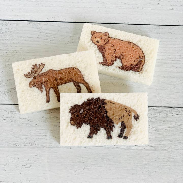 Corvidae drawings & designs - Vendita all'ingrosso Spugnetta per pulire - Spugna pop-up compostabile Bear Moose Bison - set di 37