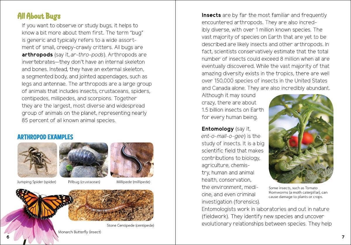 AdventureKEEN - Wholesale Nature & Outdoors - Insects & Bugs for Kids2