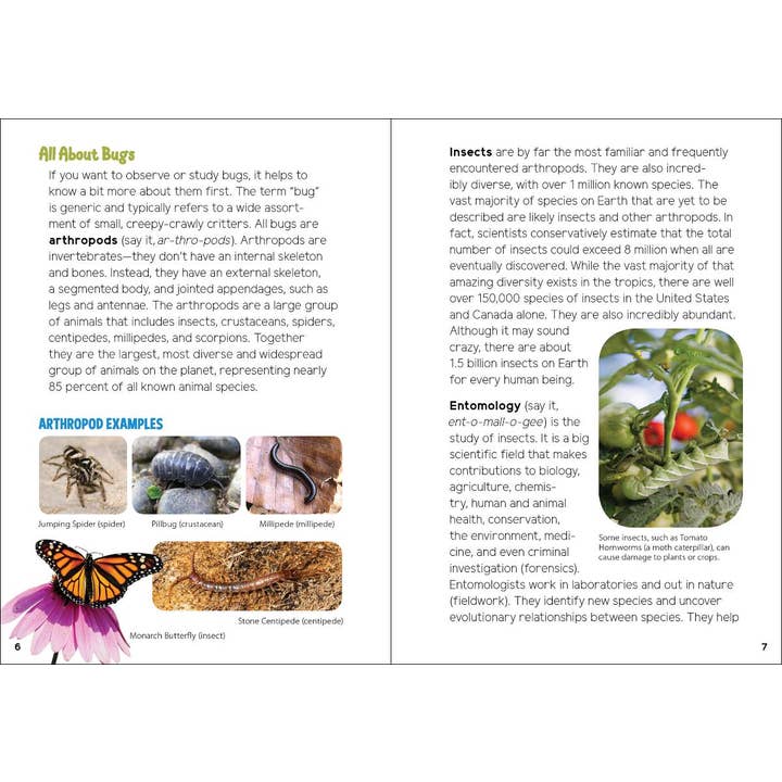 AdventureKEEN - Wholesale Nature & Outdoors - Insects & Bugs for Kids2