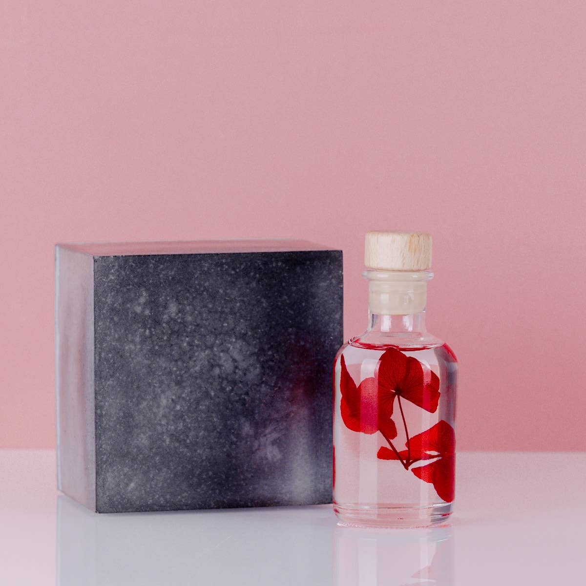 Theophile Berthon - Vente Plante - L'Herbarium Hortensia rouge Passion éternel5