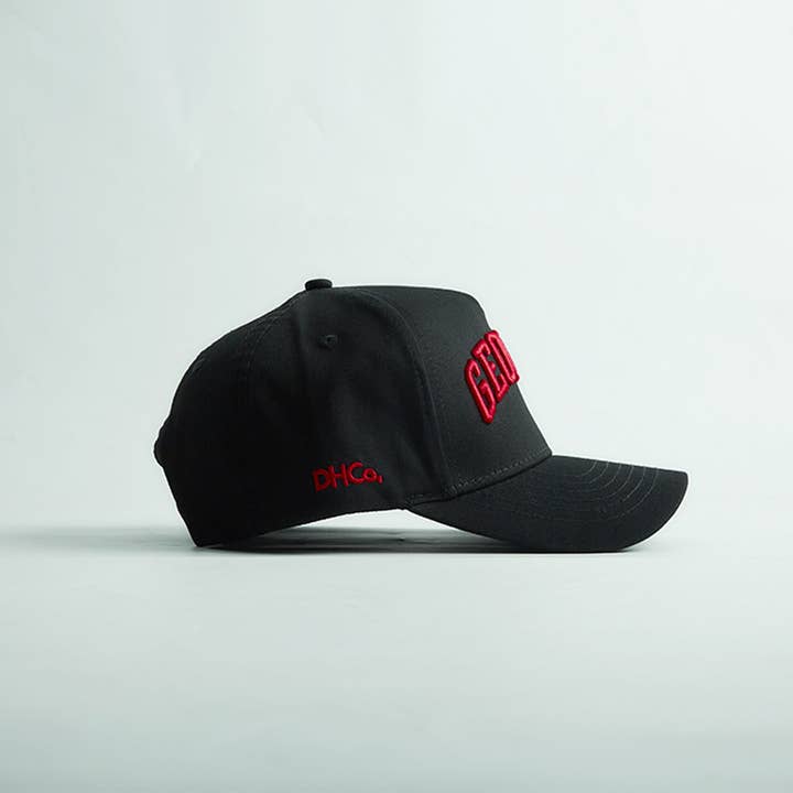 Destination Hat Co. - Wholesale Baseball Cap - Unisex - The Georgia Legacy Snapback4