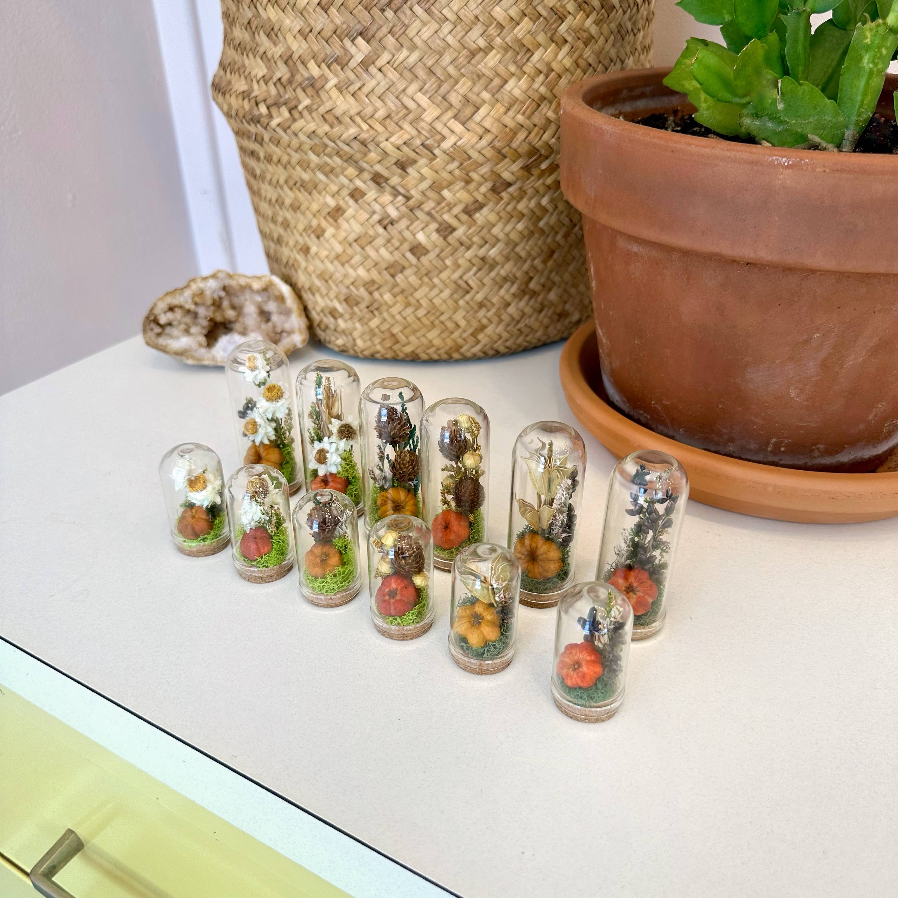 CA Studios - Wholesale Terrarium - Pumpkin Mix Mini Terrarium Potion Jar w Dried Florals12