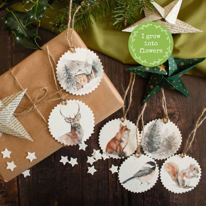 Plantable Gift Tags - Winter Scenes - Set Of 6 for wholesale by The Naughty Shrew