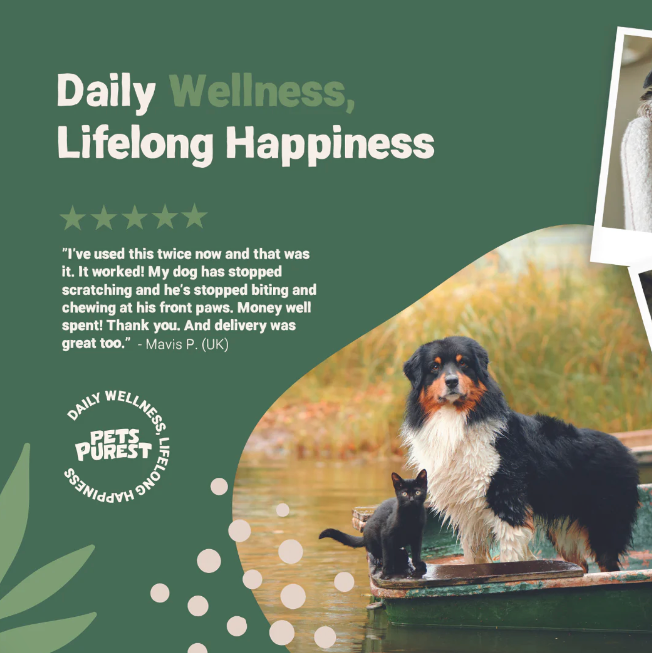 Pets Purest – wholesale Pet flea/tick spray – Pets Purest Flea Treatment For Dogs, Cats & Pet - All Natura4