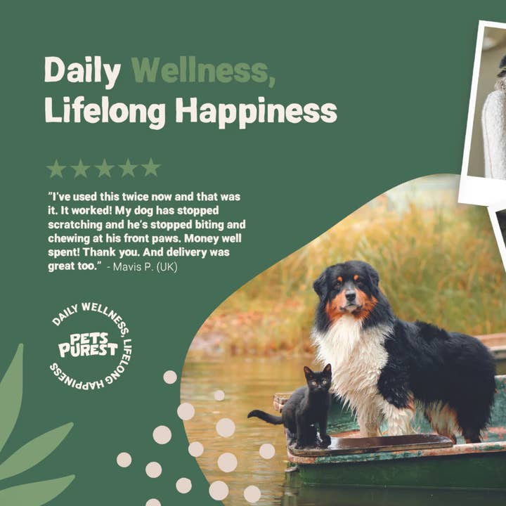 Pets Purest – wholesale Pet flea/tick spray – Pets Purest Flea Treatment For Dogs, Cats & Pet - All Natura4