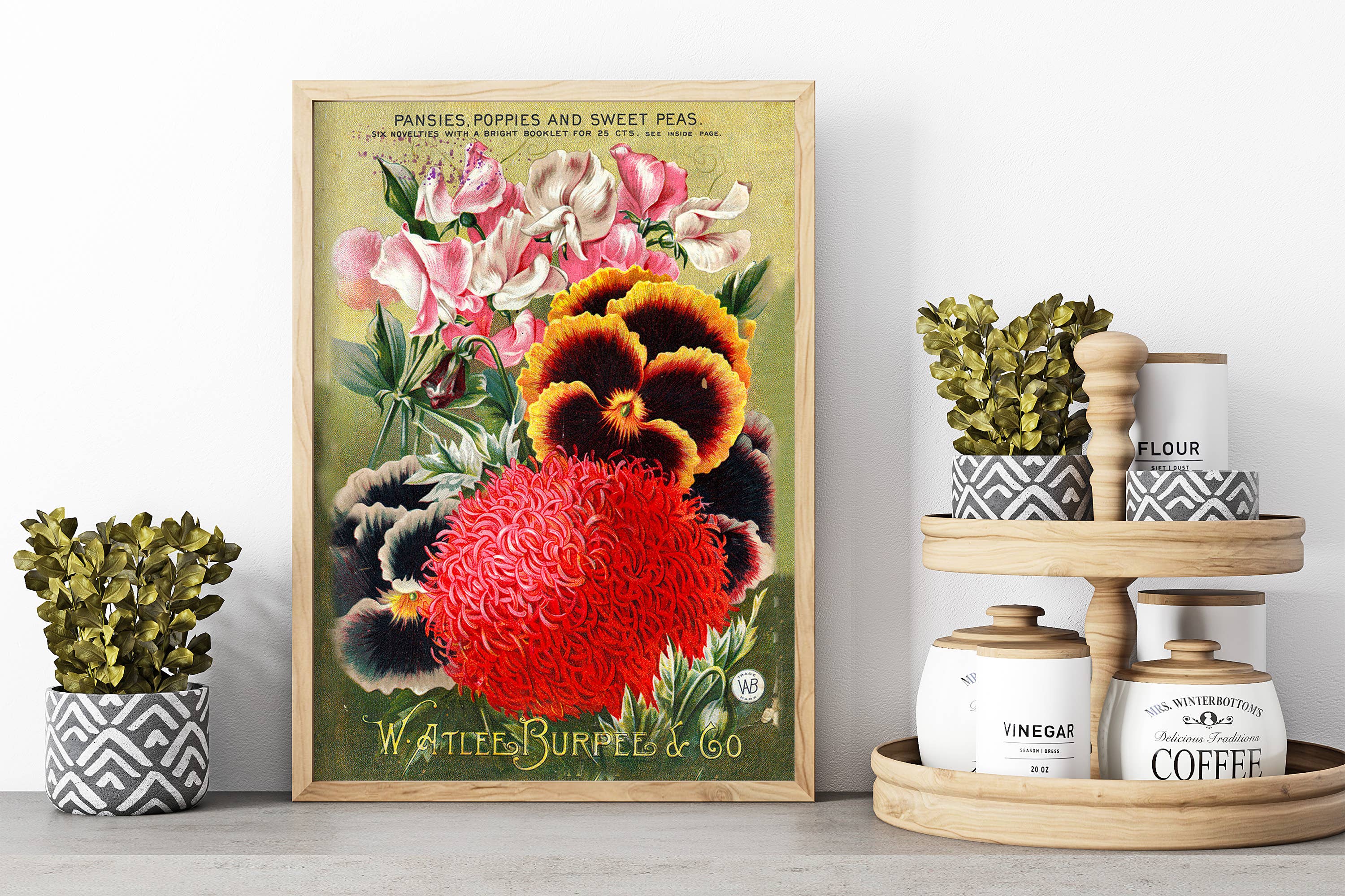 Swinford Designs - Wholesale Art Print - Vintage Seed Pack Art Print - Burpees Pansies Spring Decor2