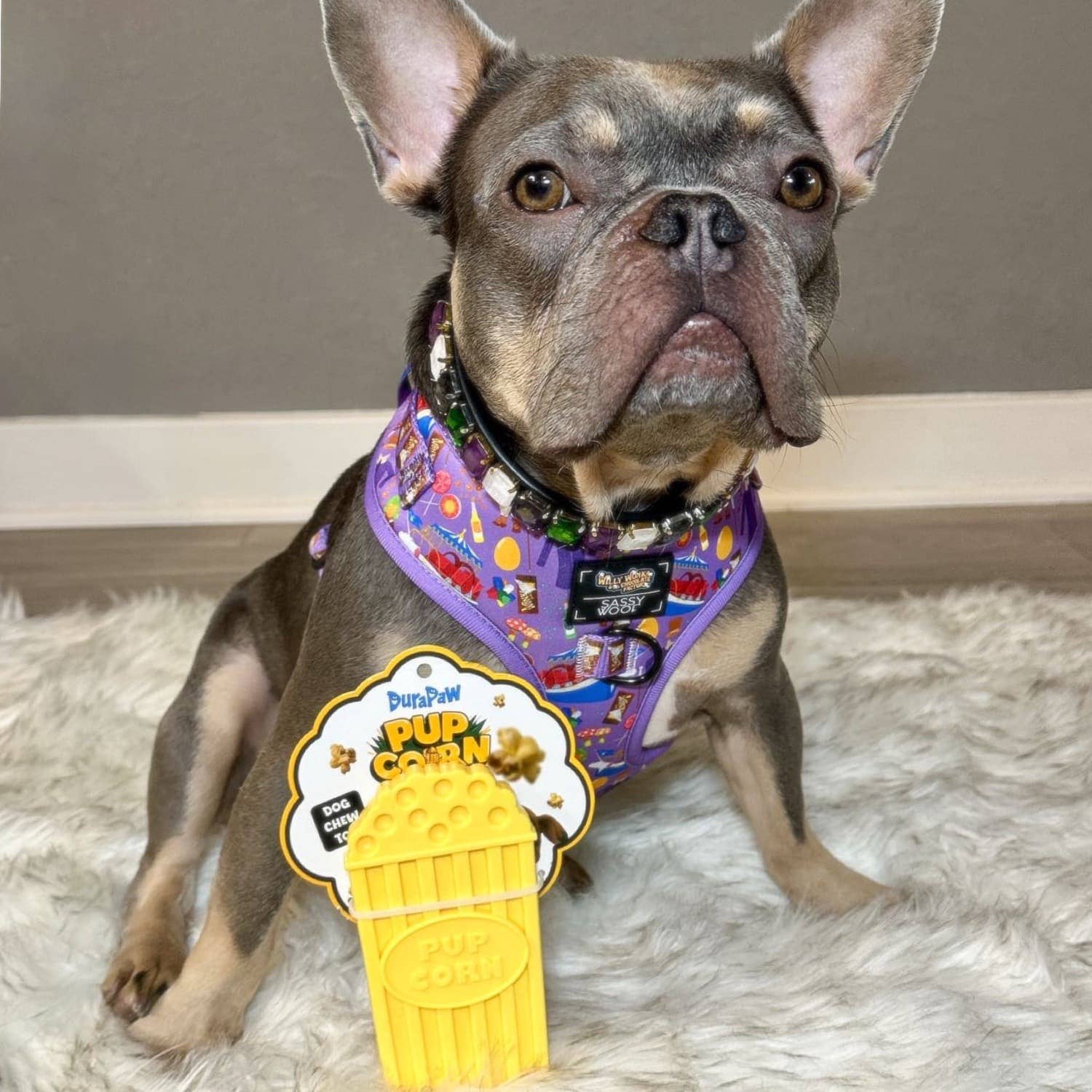 DuraPaw - Wholesale Pet Chew Toy - Dog - DuraPaw Pup Corn Super Tough Nylon Dog Toy2