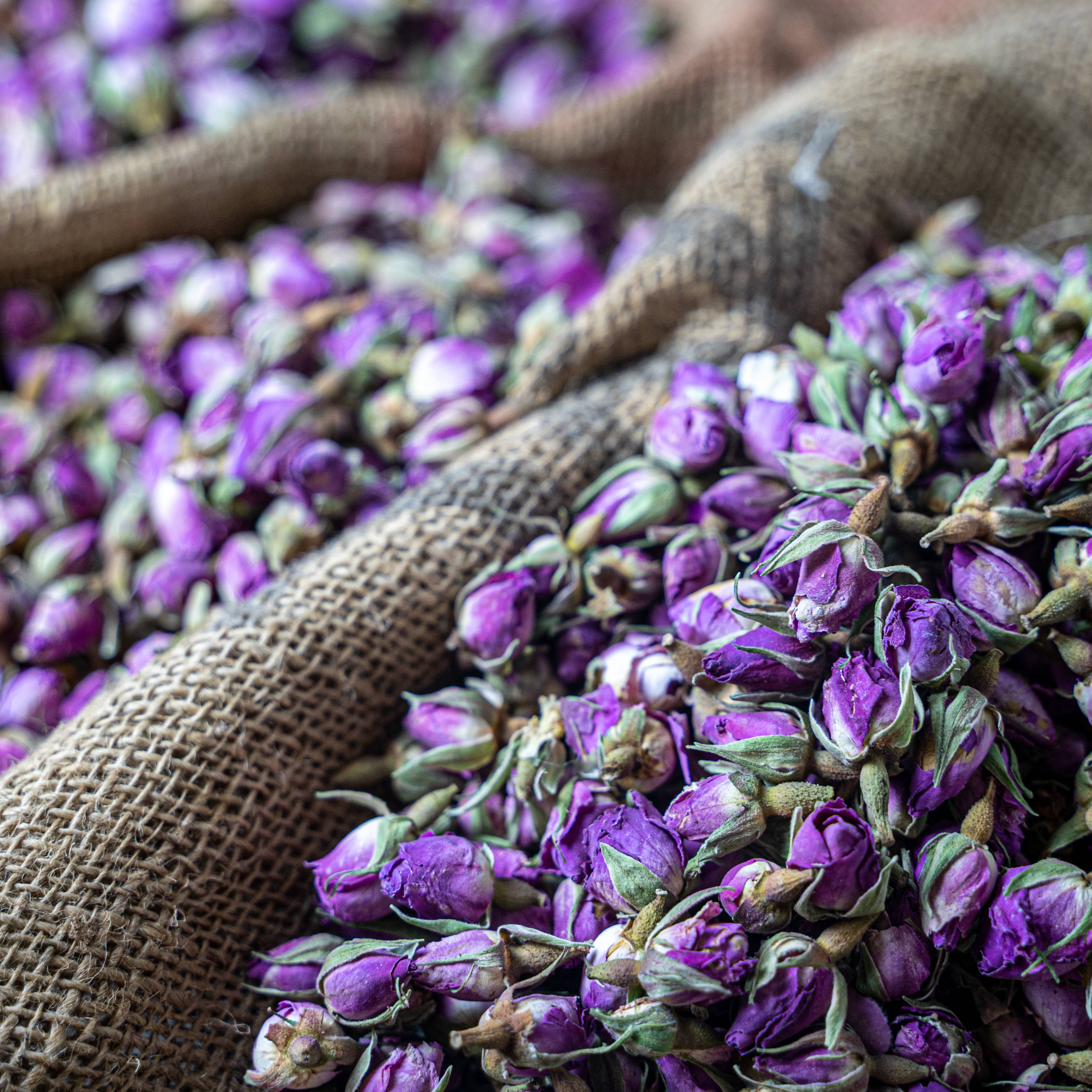 RAYA - Wholesale Fragrance Oil - Organic Rose Water 500ml2