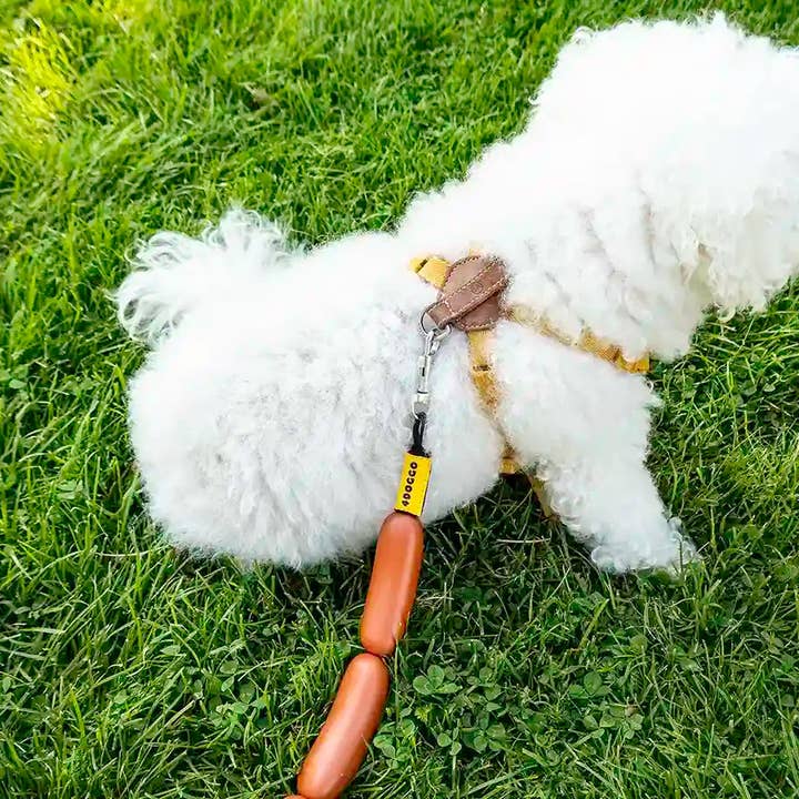 4DOGGO - Wholesale Pet leash – Dog - The "Hotdog" - Sausage Dog Lead9