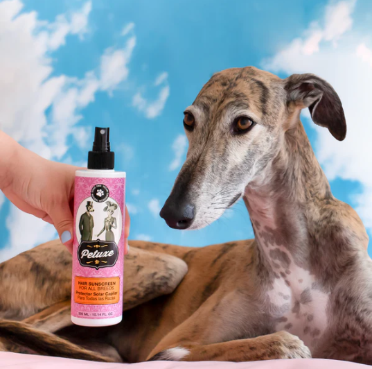 Valquer Laboratorios - Wholesale Pet Grooming Aid - Dog - Pet Hair Sunscreen - 300 ml3