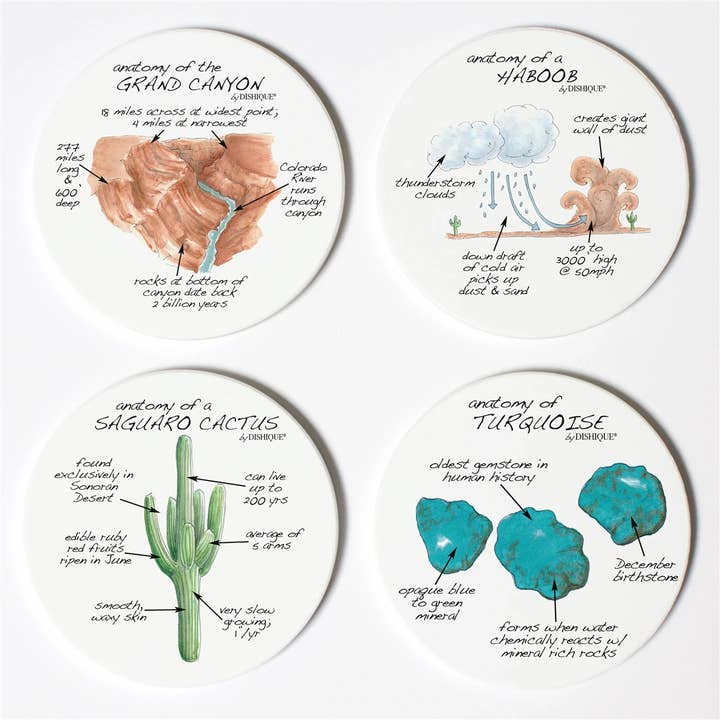 Dishique - Wholesale Coasters - Arizona Anatomy Coasters