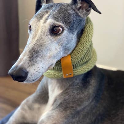 Brindle Supply Co. – wholesale Halsduk - Hund – Handstickad hund Snood med läder kåpa