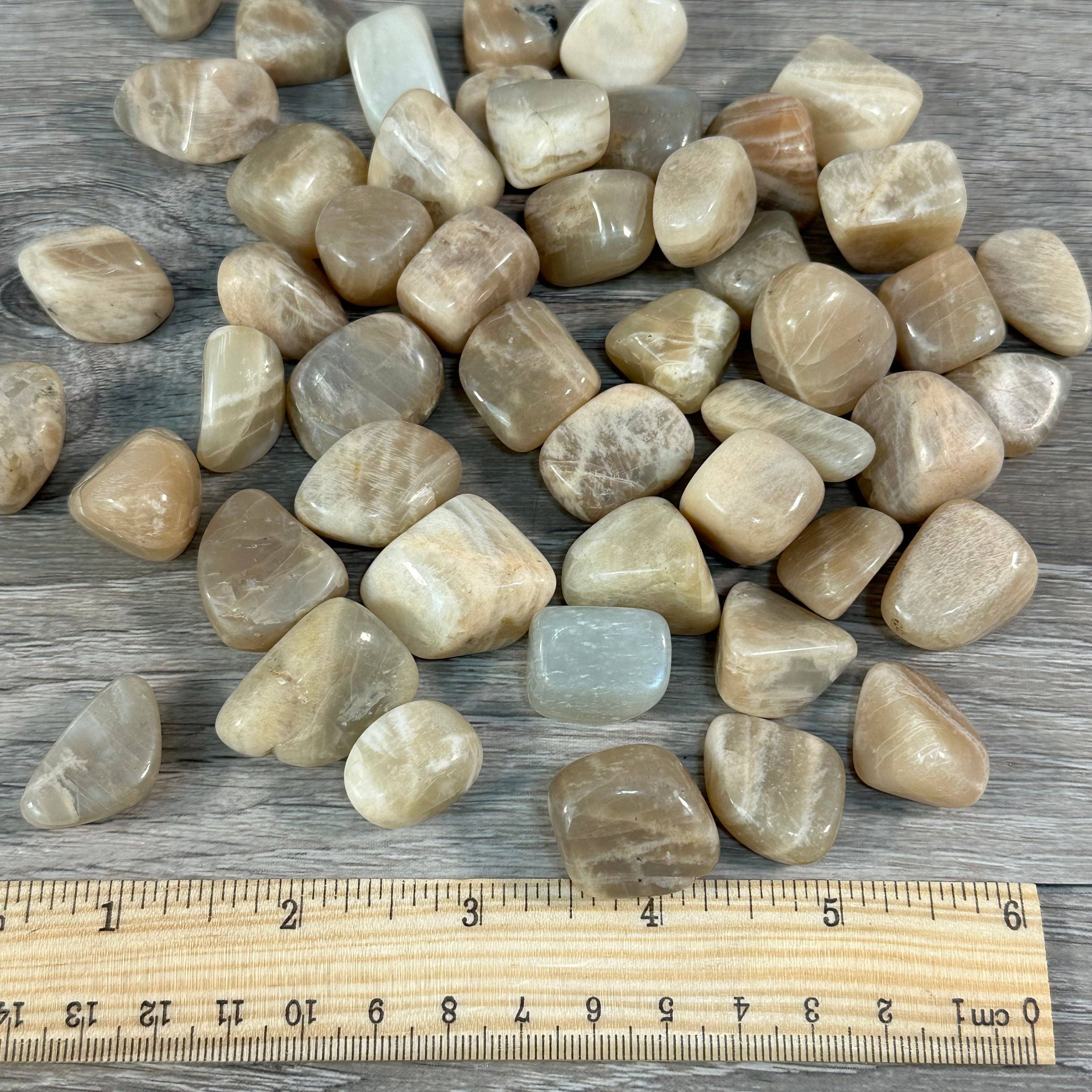 Keystone Crystals - Vente Pierre et cristal de spiritualité - Pierres roulées en pierre de lune – Lot en vrac de 1 lb pour les détaillants de cristaux et les boutiques de cadeaux1