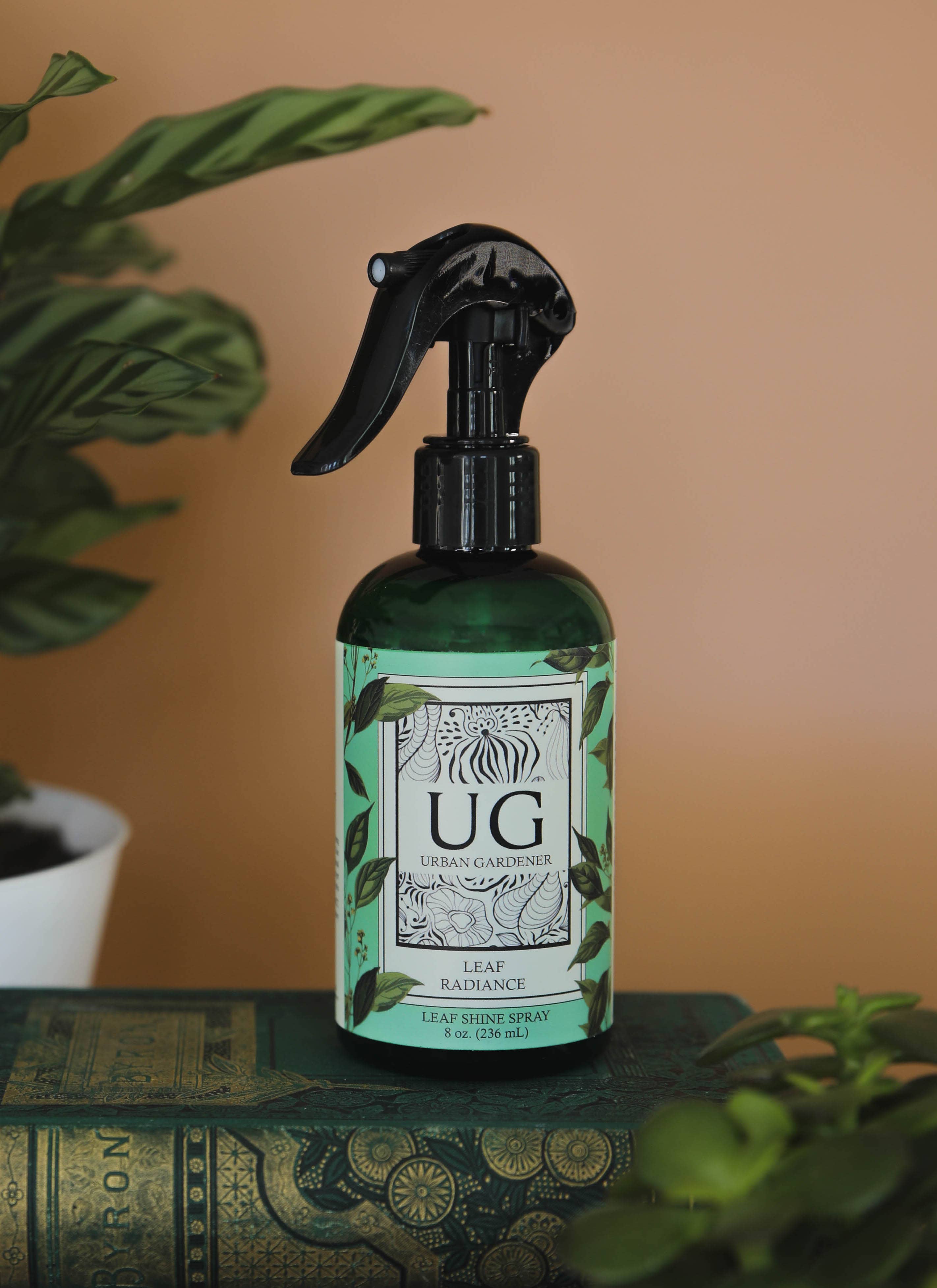 Urban Gardener - Wholesale Plant Mister - Leaf Radiance - Natural Houseplant Cleaner & Shine5