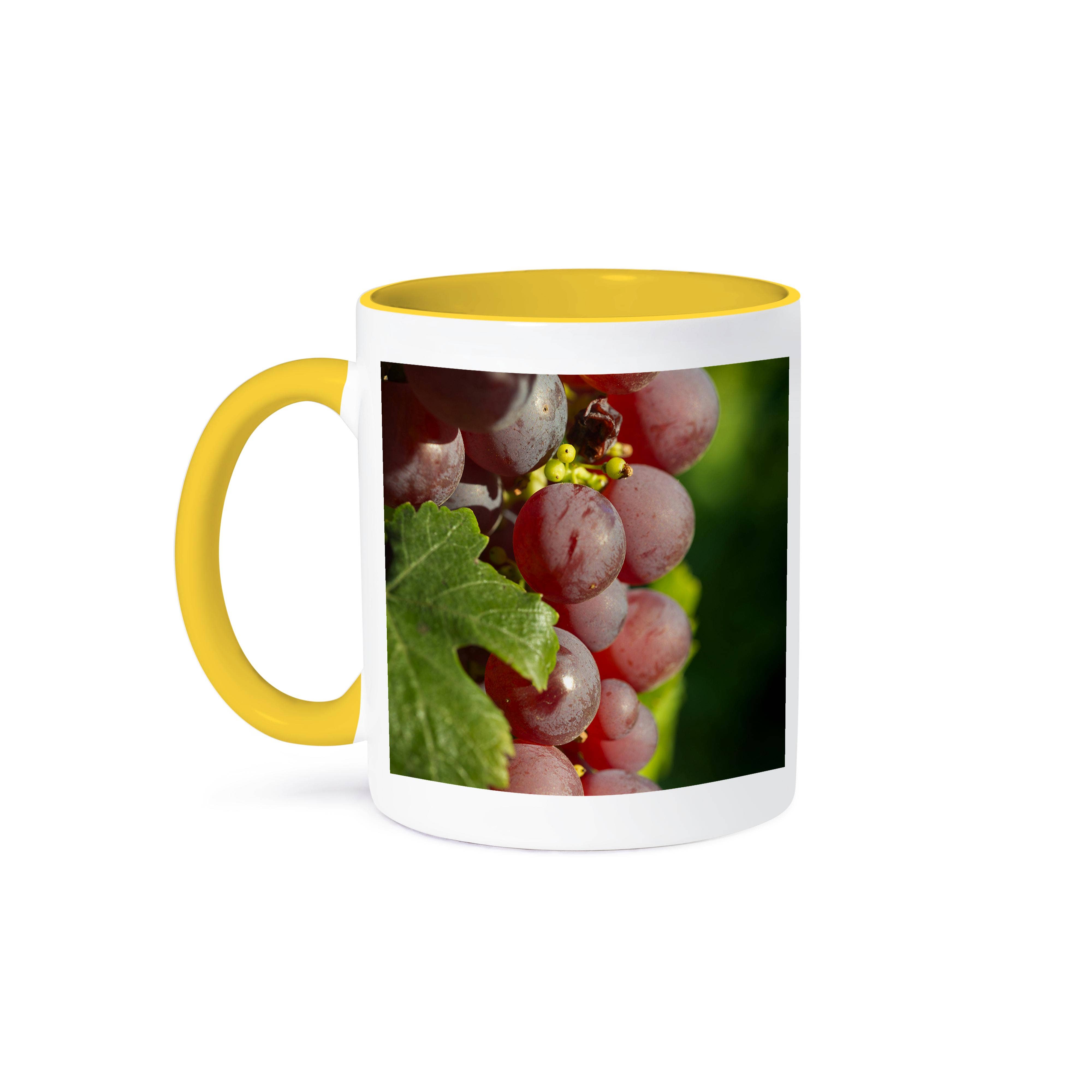 3dRose - Wholesale Coffee Mug - 3dRose, France, Alsace, Eguisheim. A bunch of Gewurztraminer grapes in Alsace., Mug0