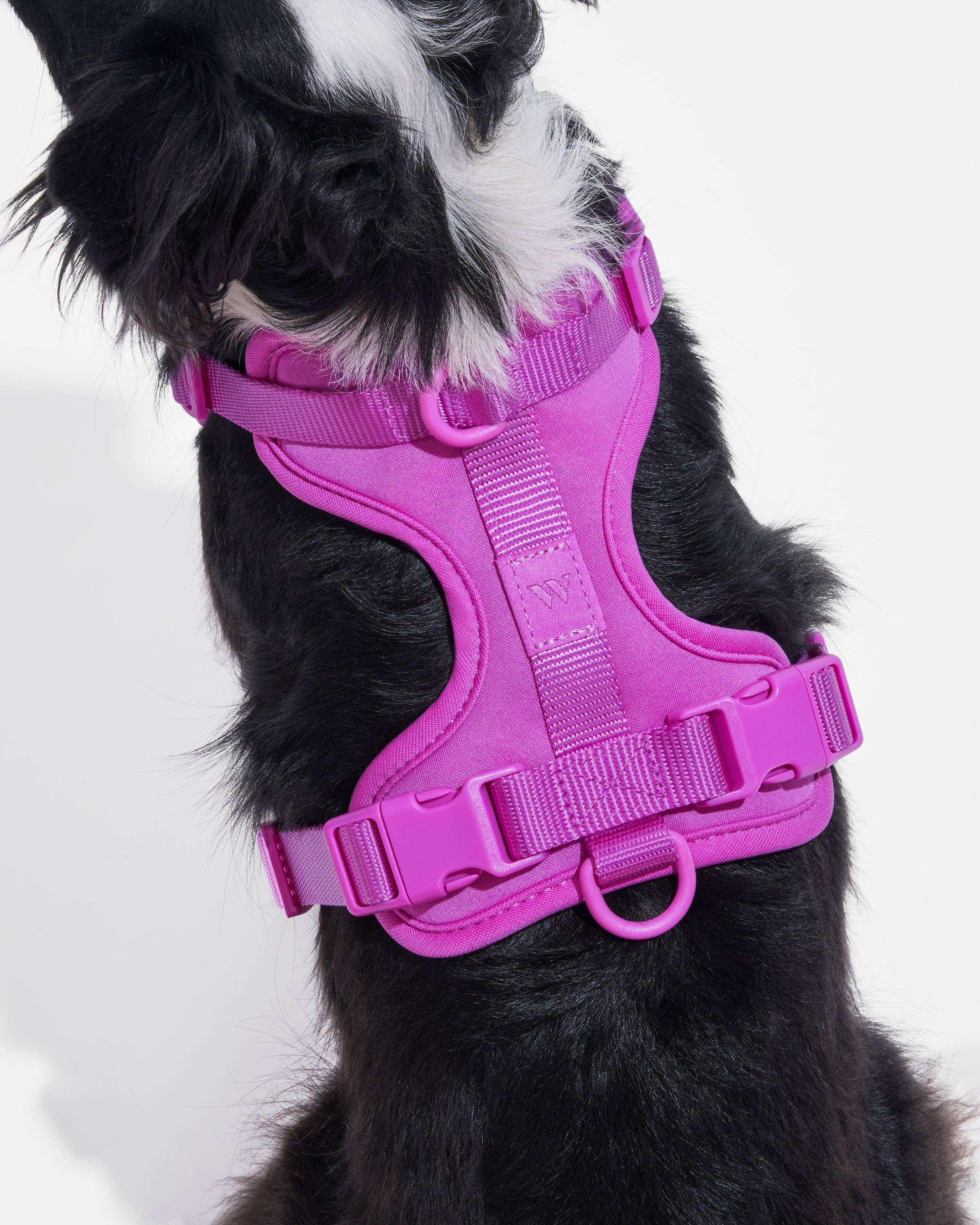 Wild One - Wholesale Pet Harness - Dog - Harness54