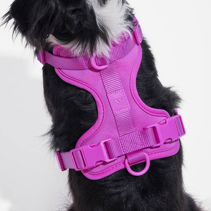 Wild One - Wholesale Pet Harness - Dog - Harness54