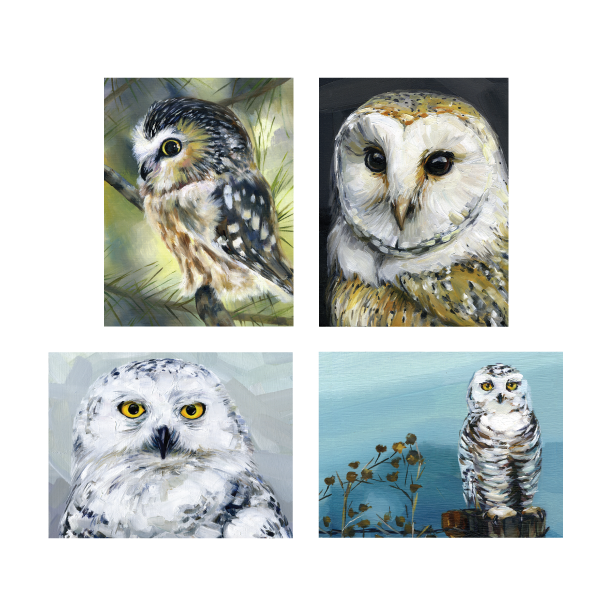Art by Alyssa - Wholesale Everyday Greeting Card - Owl Boxed Cards2