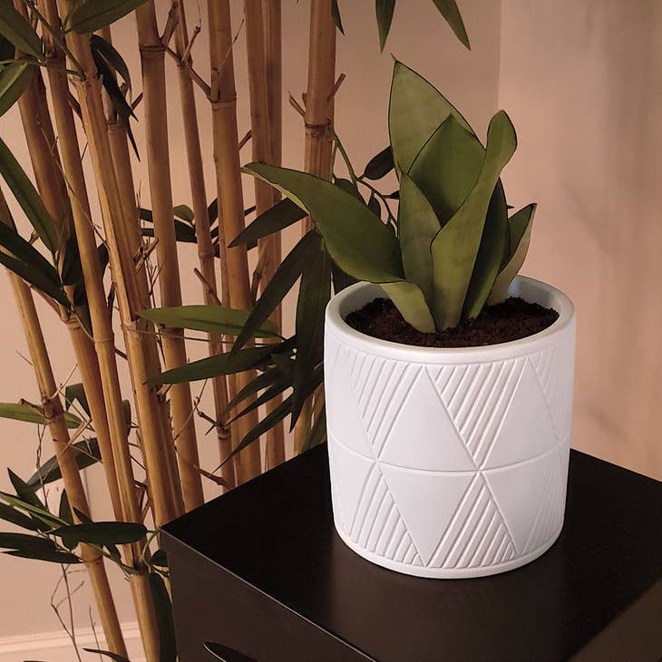 Triangle Stripe Planter, USA Plant Pot, Paintable Pottery | Faire.com