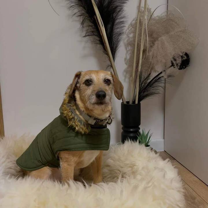 white Best dog beds large, luxury sheepskin dog beds for wholesale on Faire1