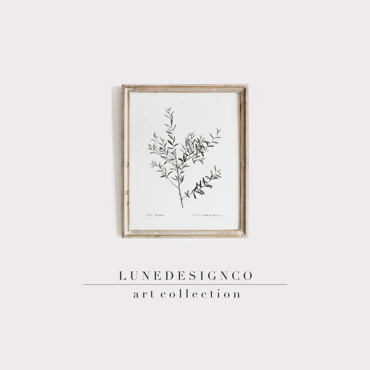 Botany Leaves Print for wholesale by Lunedesignco