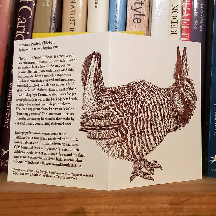 Dandy Lion Press - Wholesale Everyday Greeting Card - Greater Prairie Chicken Card Letterpress Printed4