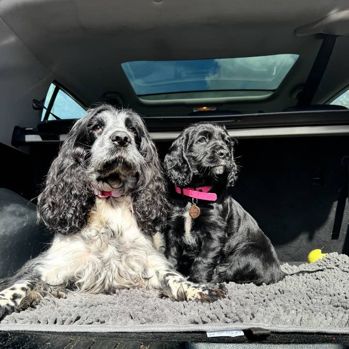 Pet Wiz - Wholesale Pet mat – Dog - Plush Microfibre Noodle Mat4