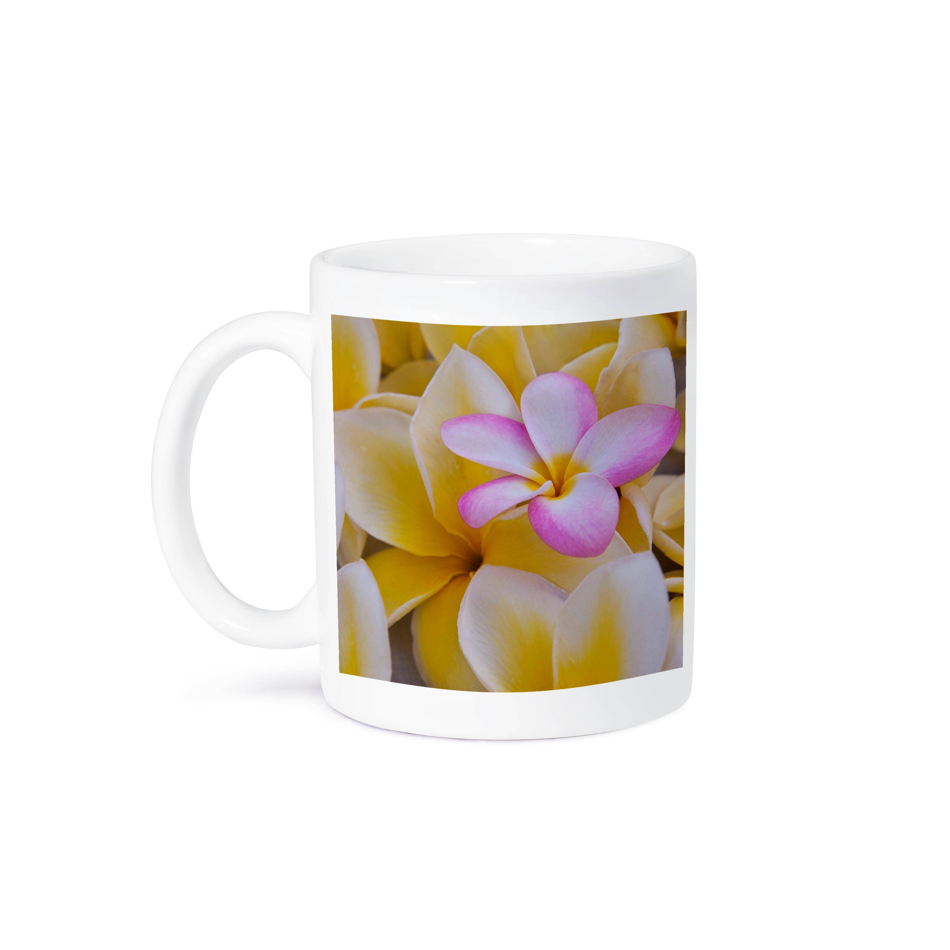 3dRose - Wholesale Coffee Mug - 3dRose, USA, Hawaii, Oahu, Plumeria flowers blooming, Mug8