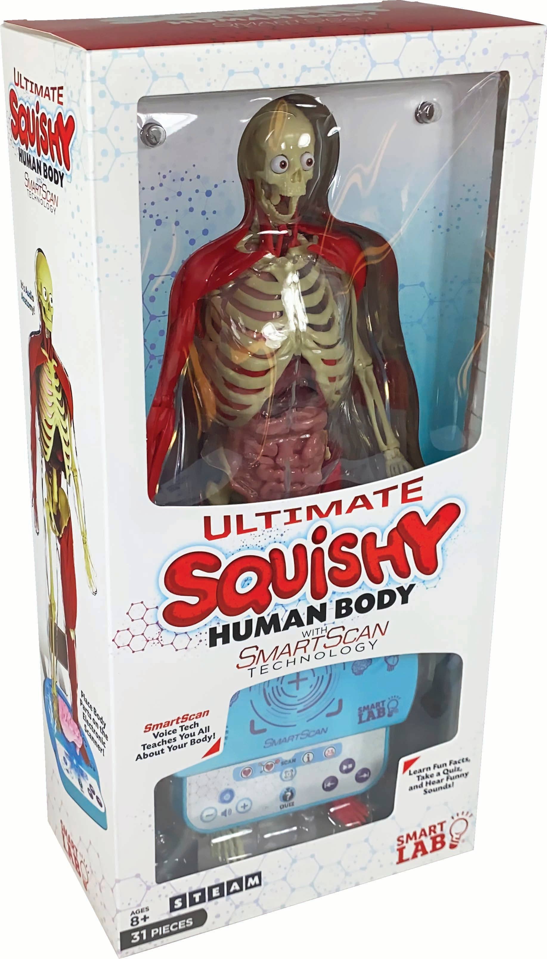 EDC Publishing - Wholesale Toy Set - Kids - Ultimate Squishy Human Body Lab
