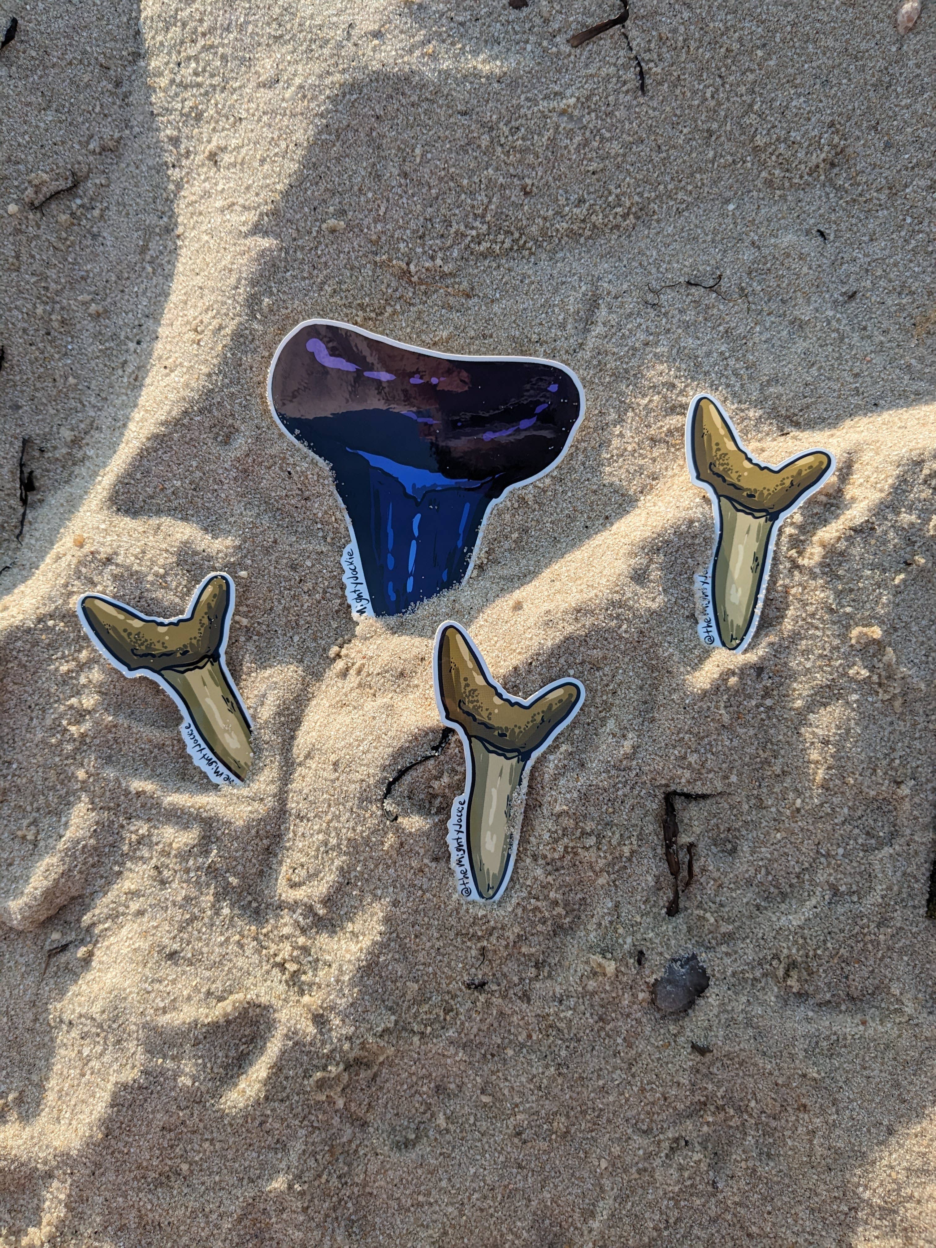 The Mighty Jackie - Wholesale Sticker - Sand Shark Tooth Sticker2
