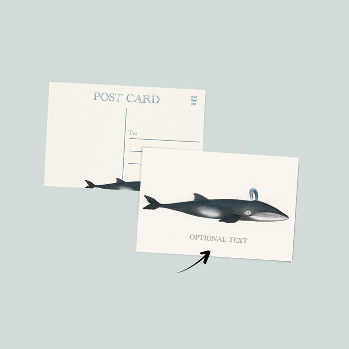 Whale post card | vintage coastal post card for wholesale by Simply Northern