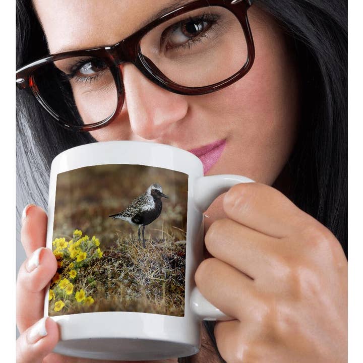 3dRose - Wholesale Coffee Mug - 3dRose, Black-bellied plover, Arctic tundra nesting habitat, Mug9