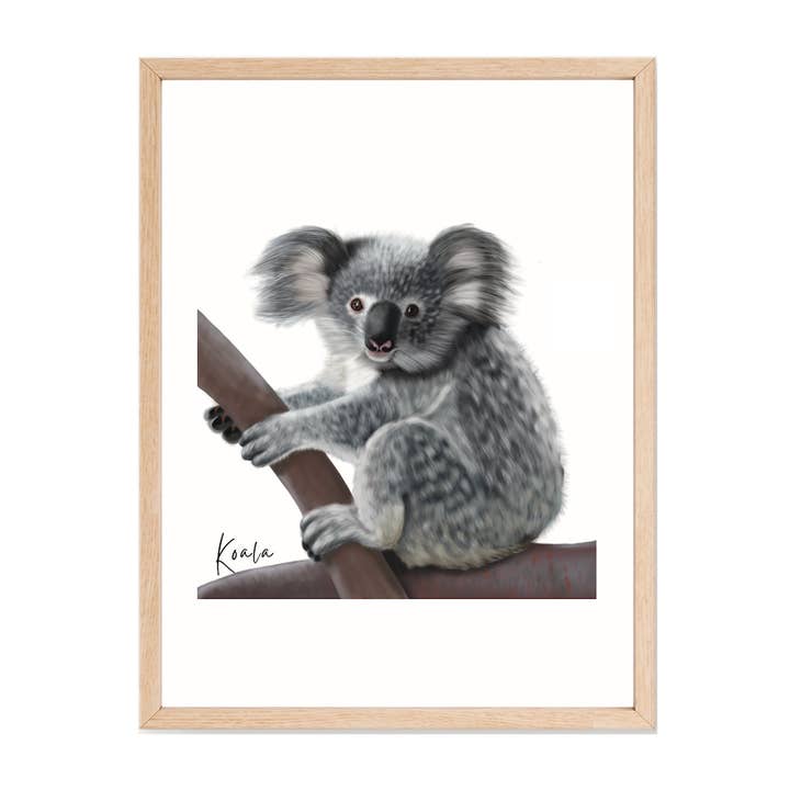 AGCP1010: Koala Affisch för wholesale av Australiana Gifts Co