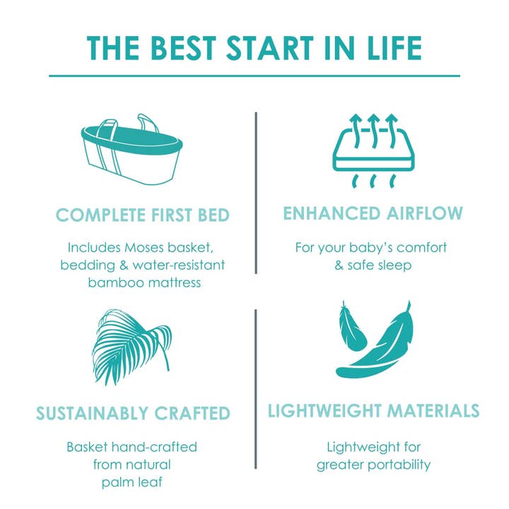 Clair De Lune – wholesale Bassinet – Baby – Organic Palm Moses Basket20