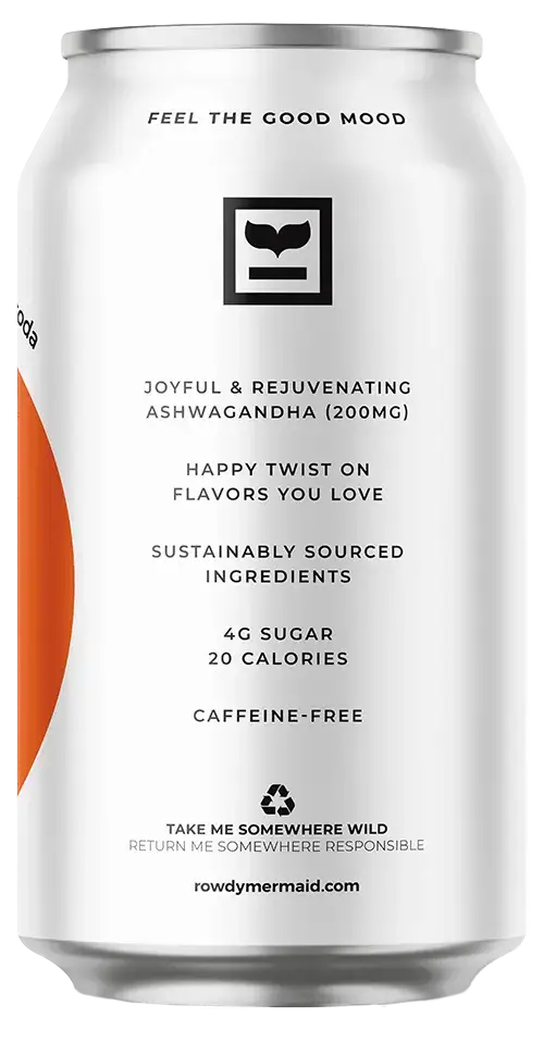 Rowdy Mermaid - Wholesale Soda/Carbonated Drink - good mood soda (orange)1