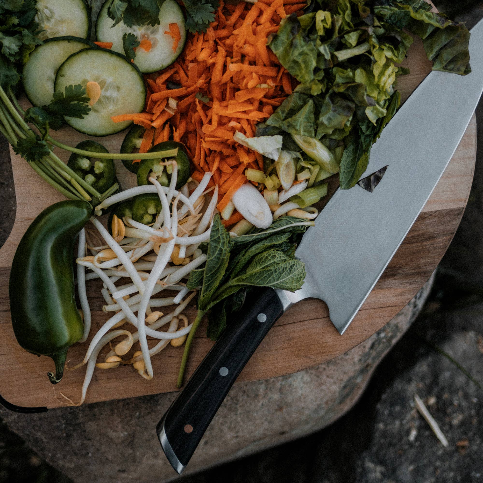 Barebones - Wholesale Kitchen/Utility Knife - No. 8 Chef Knife3