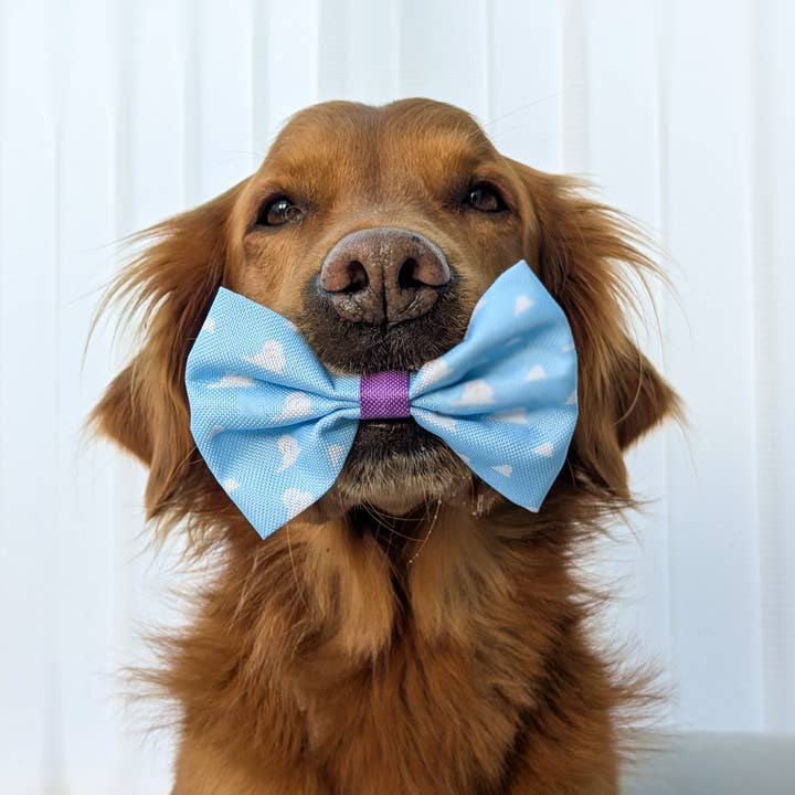 Pawsome Paws - Wholesale Pet Bow Tie - Dog - Disney© Bow Tie - Buzz Lightyear