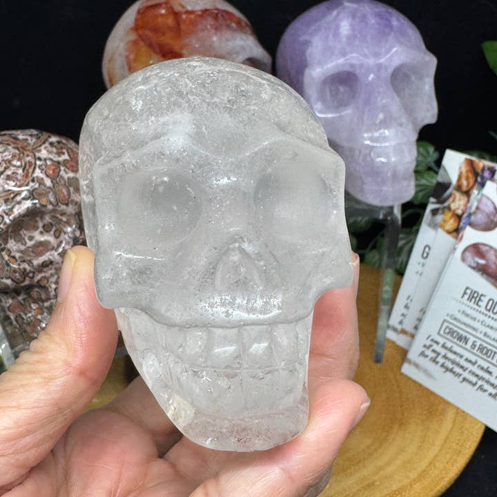 The 7 Directions - Wholesale Spiritual Stone/Crystal - 6 pc Ocean Jasper Leopardite fire quartz skull bundle G80510