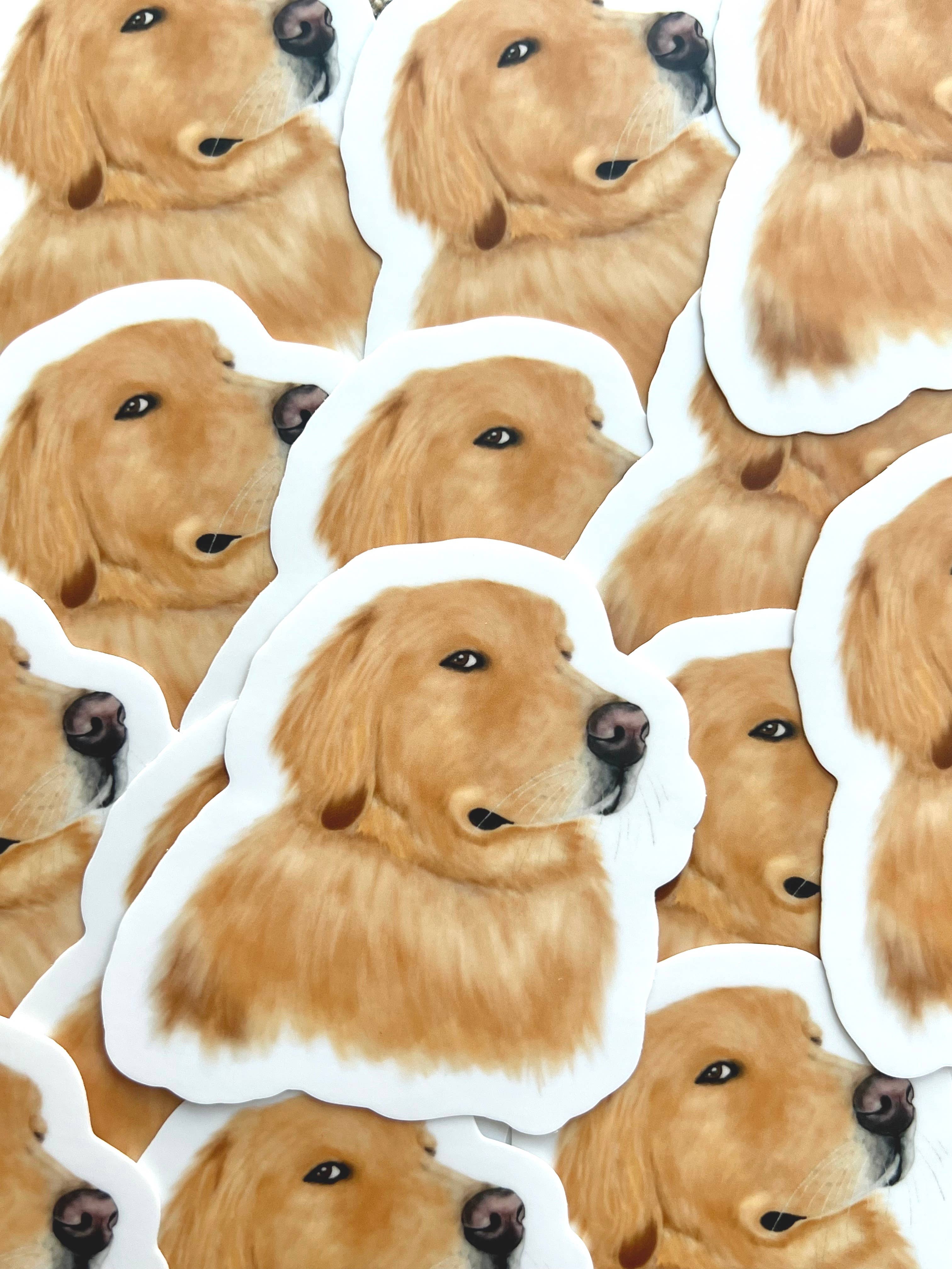k.Patricia Designs - Wholesale Sticker - Side Eye Golden Retriever Sticker1