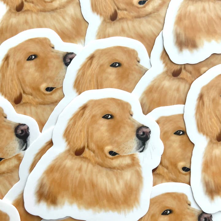 k.Patricia Designs - Wholesale Sticker - Side Eye Golden Retriever Sticker1