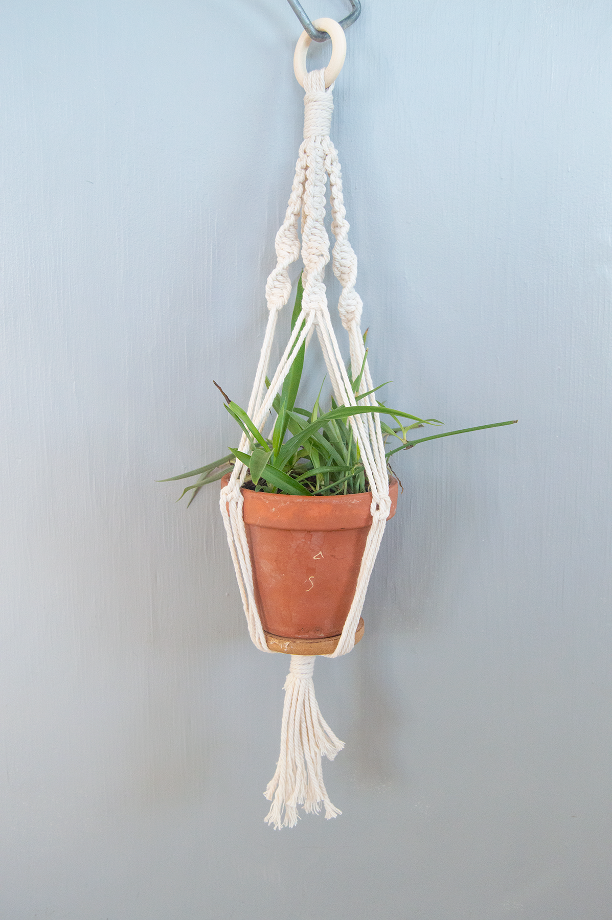Set It Down - Wholesale DIY Craft Kit - DIY Macrame Plant Hanger Kit3