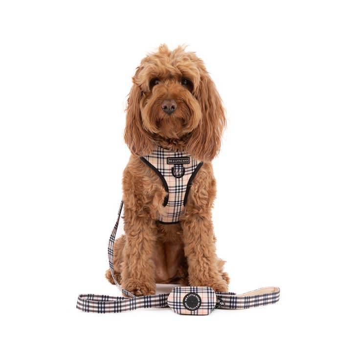 Big and Little Dogs - Wholesale Pet Harness - Dog - ADJUSTABLE DOG HARNESS: Nova Plaid