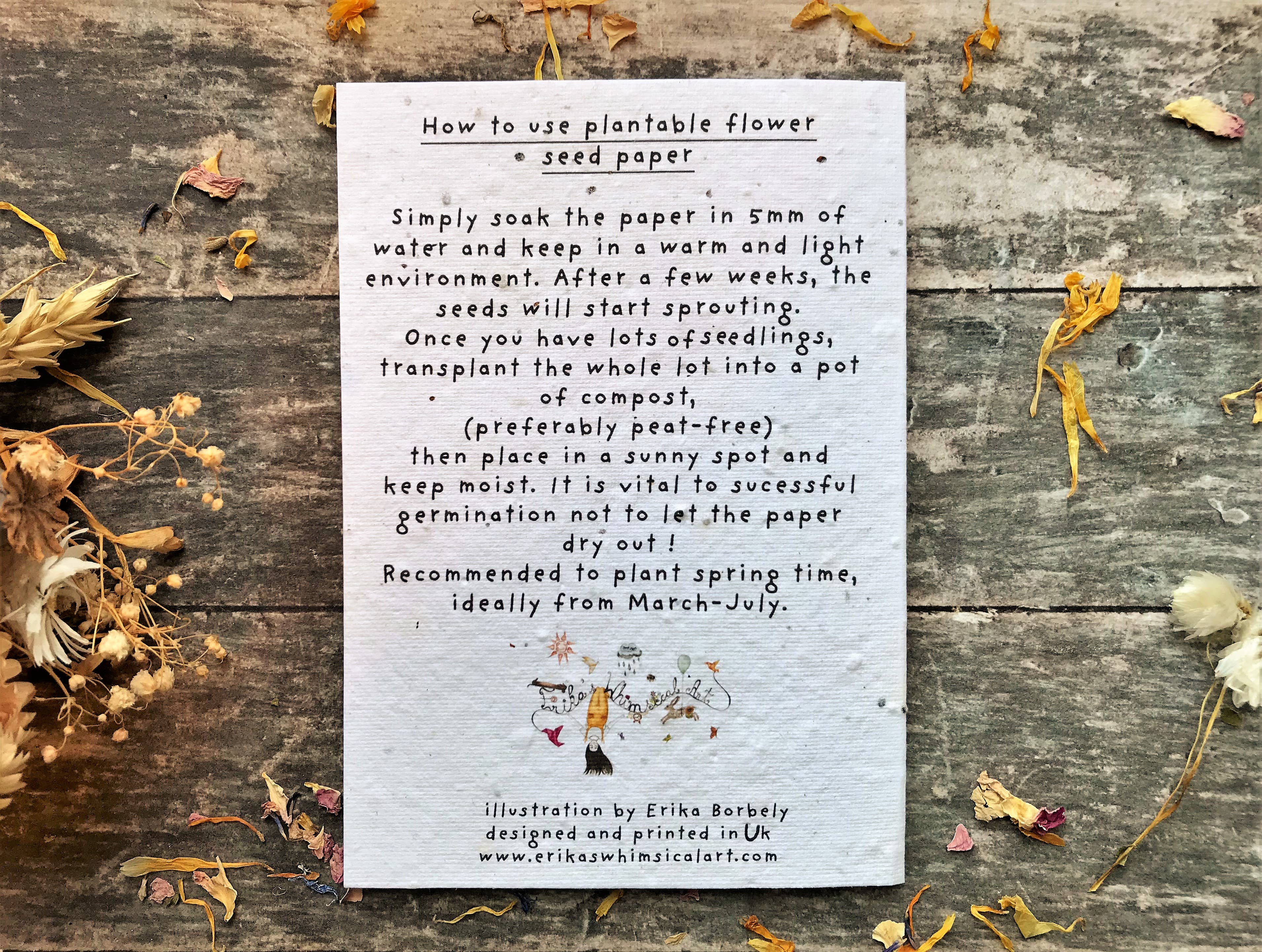 Erika's Whimsical Art – wholesale Love card – Plantable  Seed Paper Floral Heart Card9