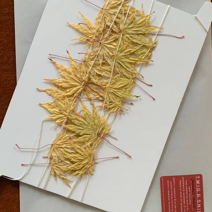 Twig and Snip - Wholesale Bunting/Garland - Dried Japanese Maple Leaf Garland GOLDEN- Natural Decor6