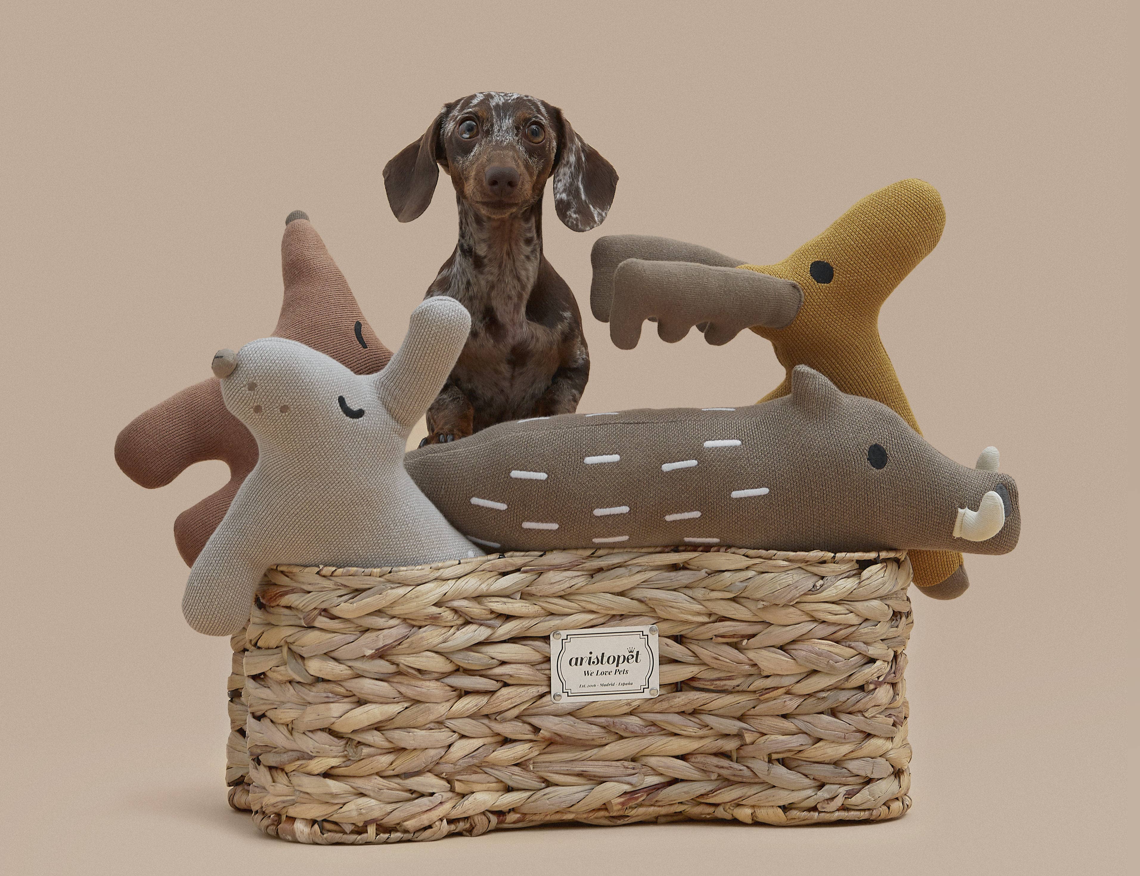 ARISTOPET - Vendita all'ingrosso Portagiocattoli per animali - Cesta porta giocattoli per animali a forma di osso5