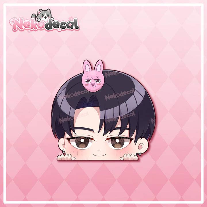 Nekodecal - Wholesale Sticker - Chibi Stray Kids Peekers