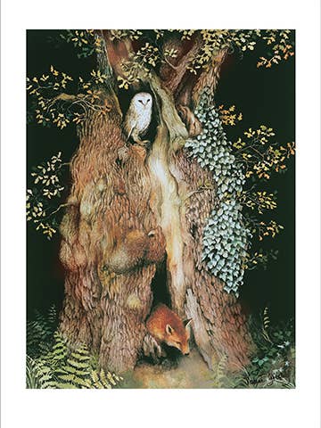 The Acorn's Story - Artist: Valerie Greeley - GVG168 for wholesale by Masala Cards